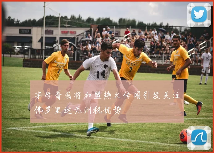 字母哥或将加盟热火传闻引发关注佛罗里达无州税优势